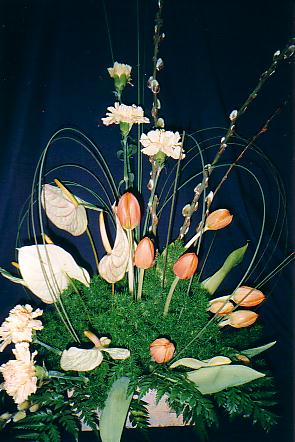 117-1794_IMG.JPG