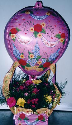 117-1795_IMG.JPG