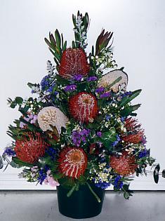 117-1794_IMG.JPG