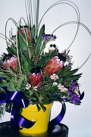 117-1795_IMG.JPG