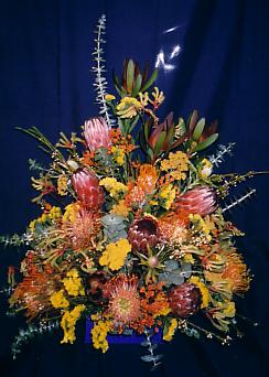 117-1794_IMG.JPG