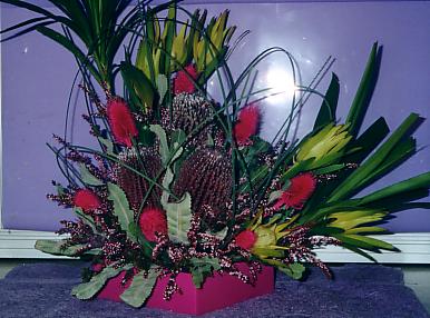 117-1795_IMG.JPG