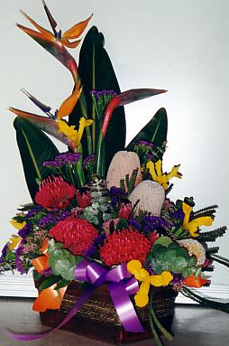 117-1795_IMG.JPG
