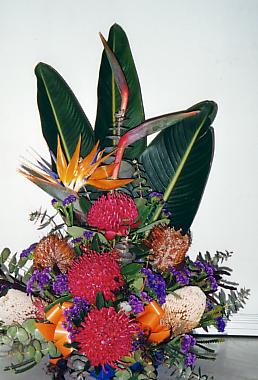 117-1795_IMG.JPG