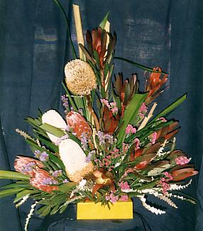 117-1795_IMG.JPG
