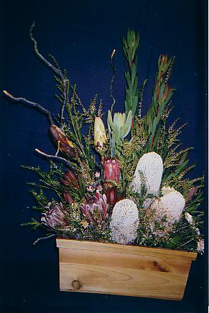 117-1795_IMG.JPG