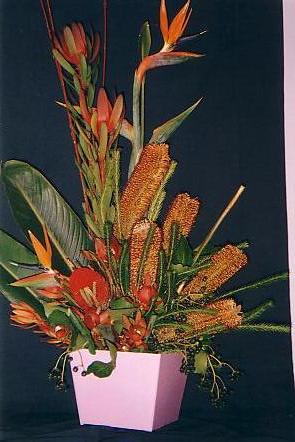 117-1795_IMG.JPG