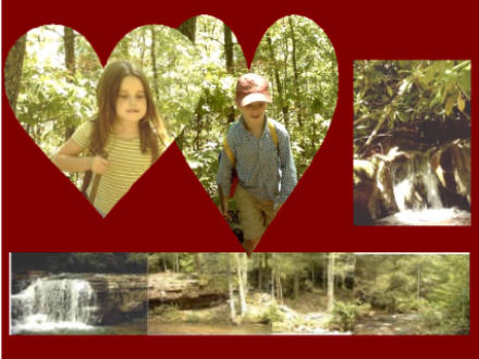 woods and waterfalls
