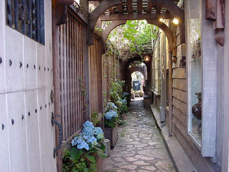 Carmel12