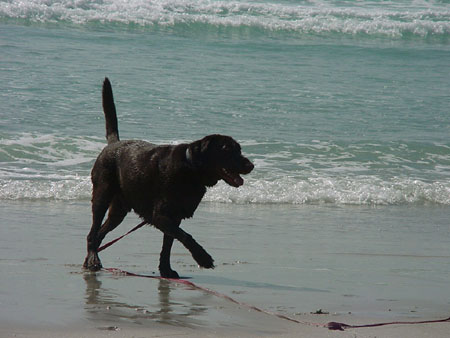 Carmel2