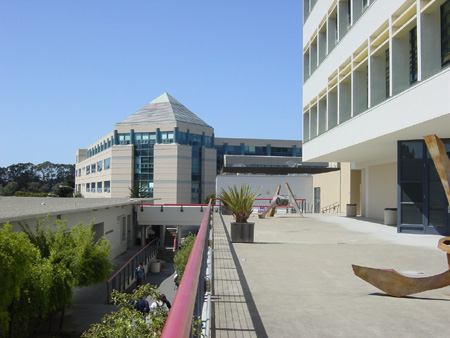 SFSU5