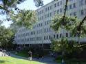 SFSU7