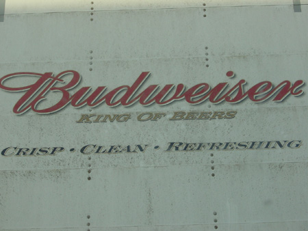 Beer