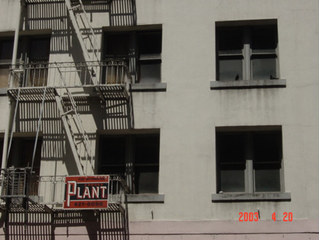 Street