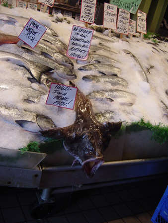 PublicMarket2