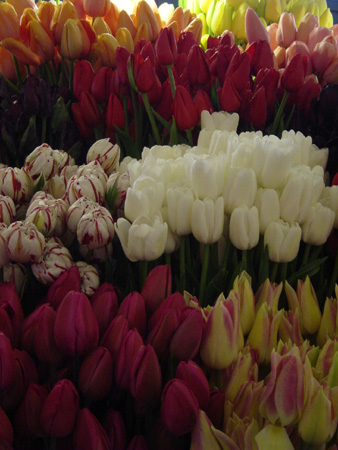PublicMarket3