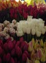 PublicMarket3