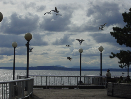 Waterfront2