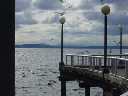 Waterfront3