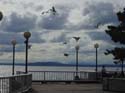 Waterfront2
