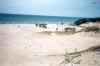 Dunes_2.jpg (93758 bytes)