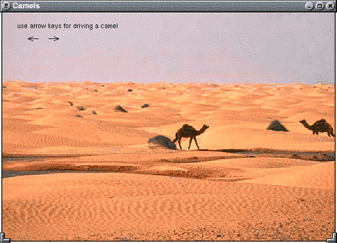 camels.pas