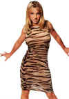 bspears1.jpg (18097 bytes)