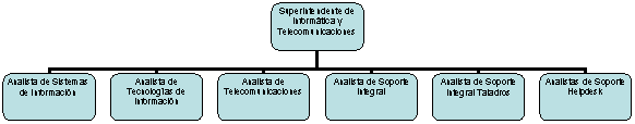 Organization Chart