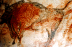 http://www.geocities.com/hectorbalmes/bisonte2.gif