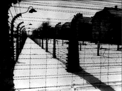 Campos de Concentraci�n
