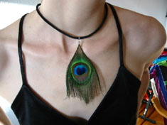 Peacock Feather Choker