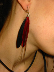 Feather Earrings