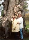 Aweird tree out at Bonan