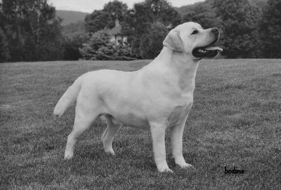 Manny, photo by Penny Bodine