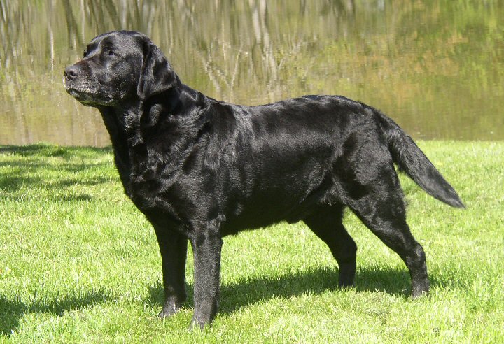 2006