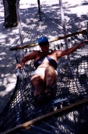 Beach hammock