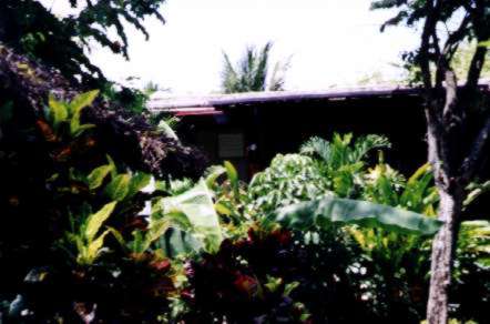 The Grounds