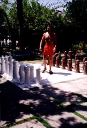 Chess anyone?
