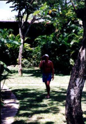 The grounds