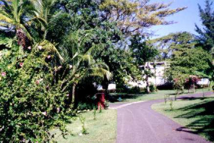 Grounds