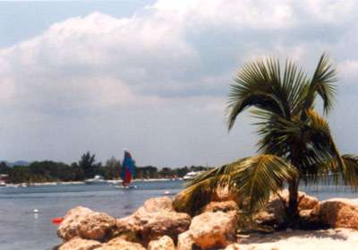 Jetty