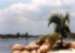 Jetty