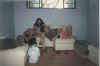 banda_animason29.jpg (41854 bytes)