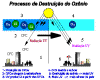 ozonio02.gif (13892 bytes)