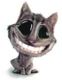 O gat&atilde;o sorrindo