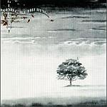 Wind & Wuthering