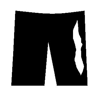 Spandex shorts
