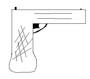 Pistol