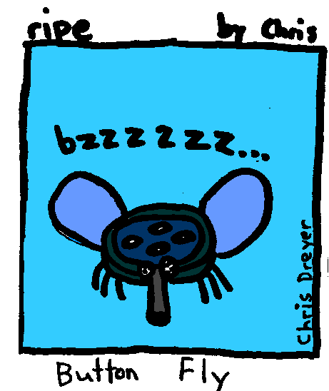 Button Fly