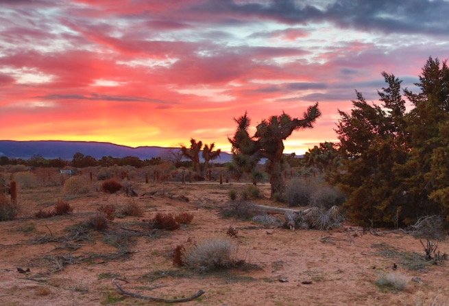 Desert Sunrise